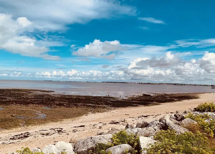 Le Tom De Apartment Royan