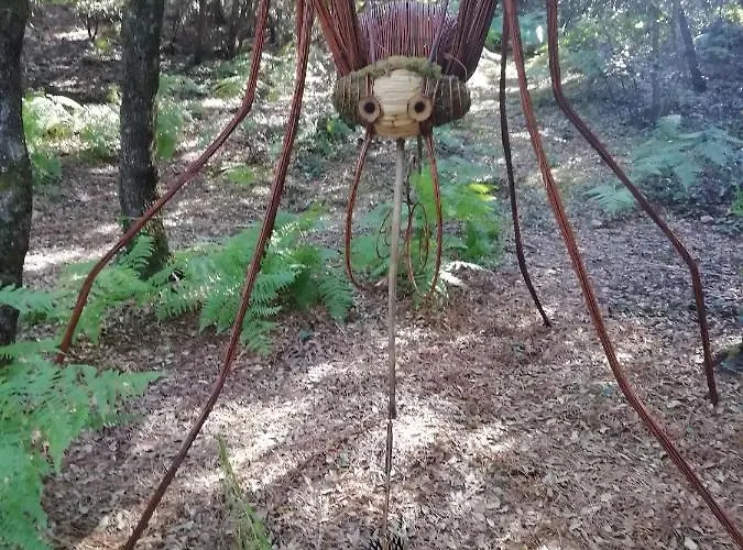 Apartment Le Tom De *