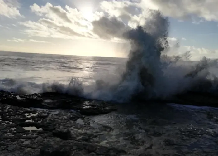 Apartment Le Tom De Royan