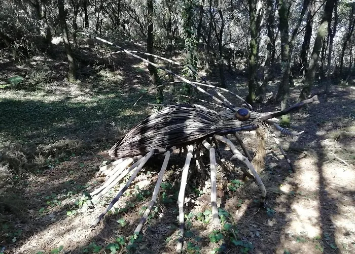 Apartment Le Tom De *