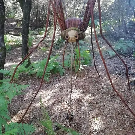 Appartement Le Tom De *