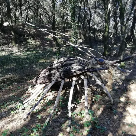 Appartement Le Tom De *